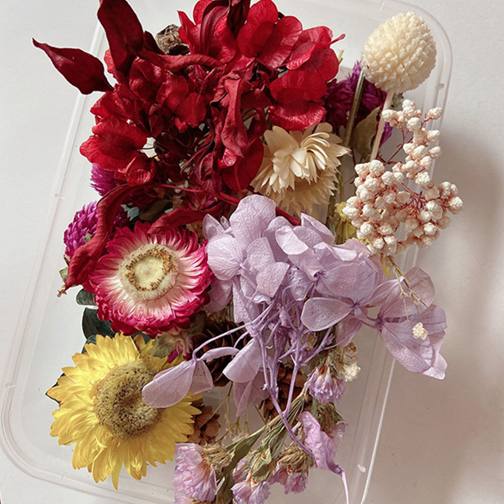 Natural Dried Flower Kit Press - Candle Making Kit 评论和价格