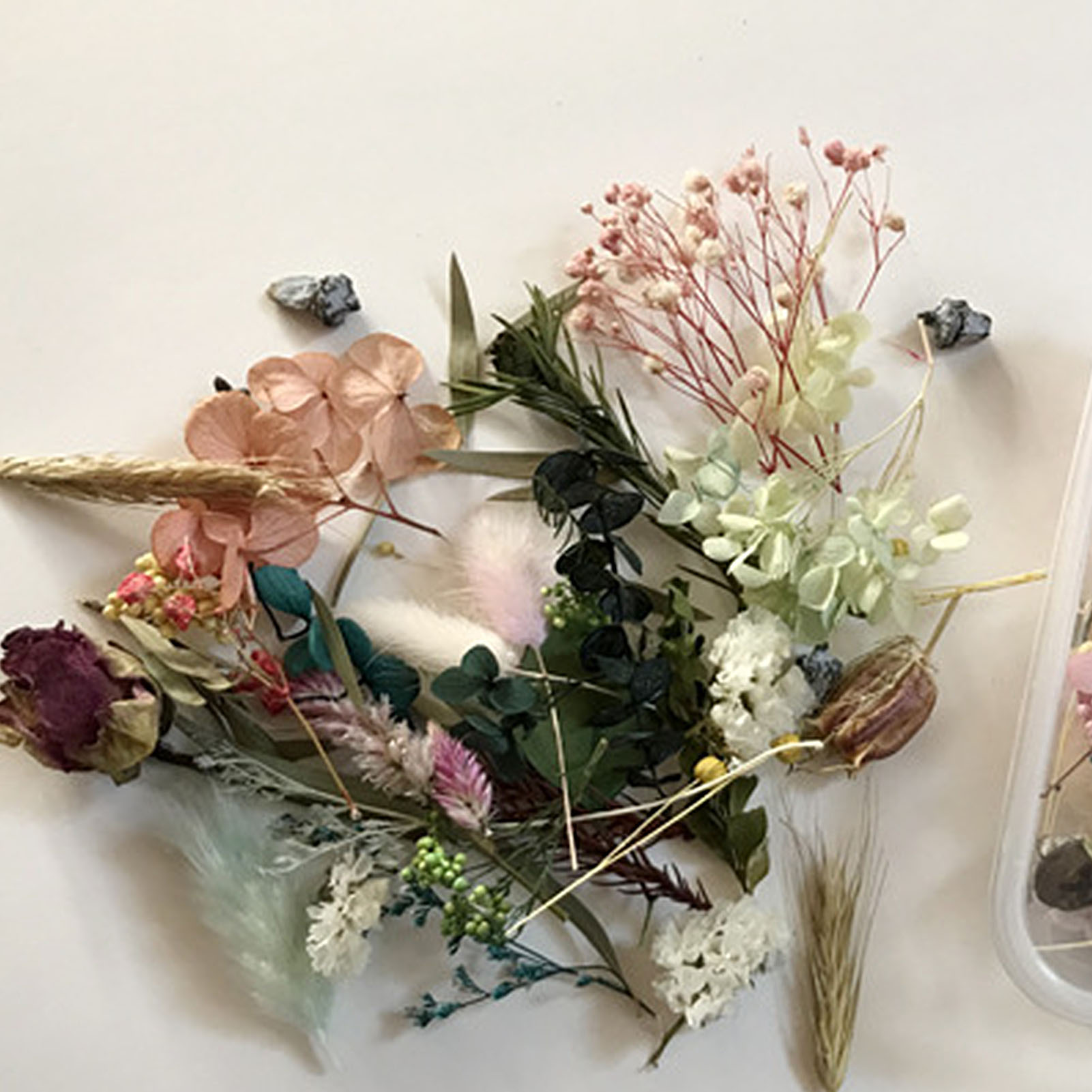 Natural Dried Flower Kit Press - Candle Making Kit 评论和价格